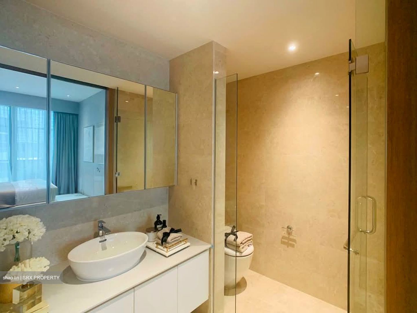 Mon Jervois (D10), Condominium #602049191